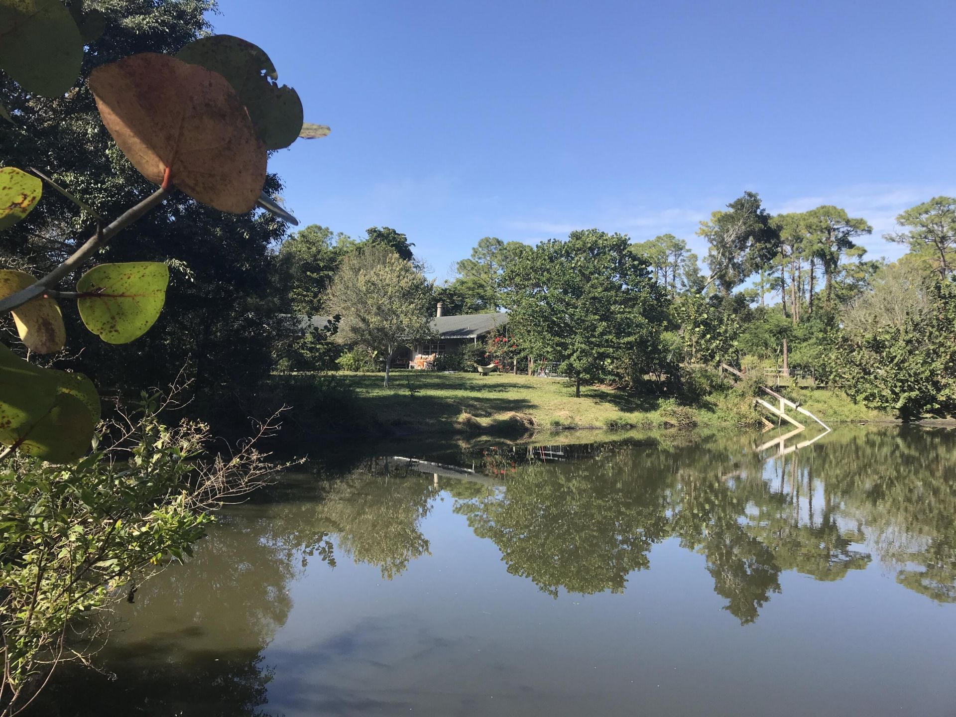 15531 42nd Road N, Loxahatchee Groves, FL 33470 Photo