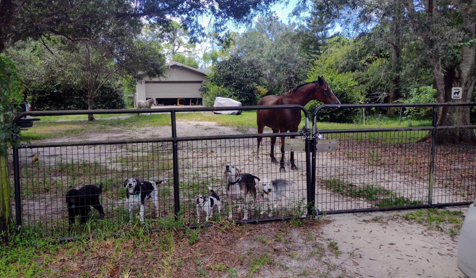 15531 42nd Road N, Loxahatchee Groves, FL 33470 Photo