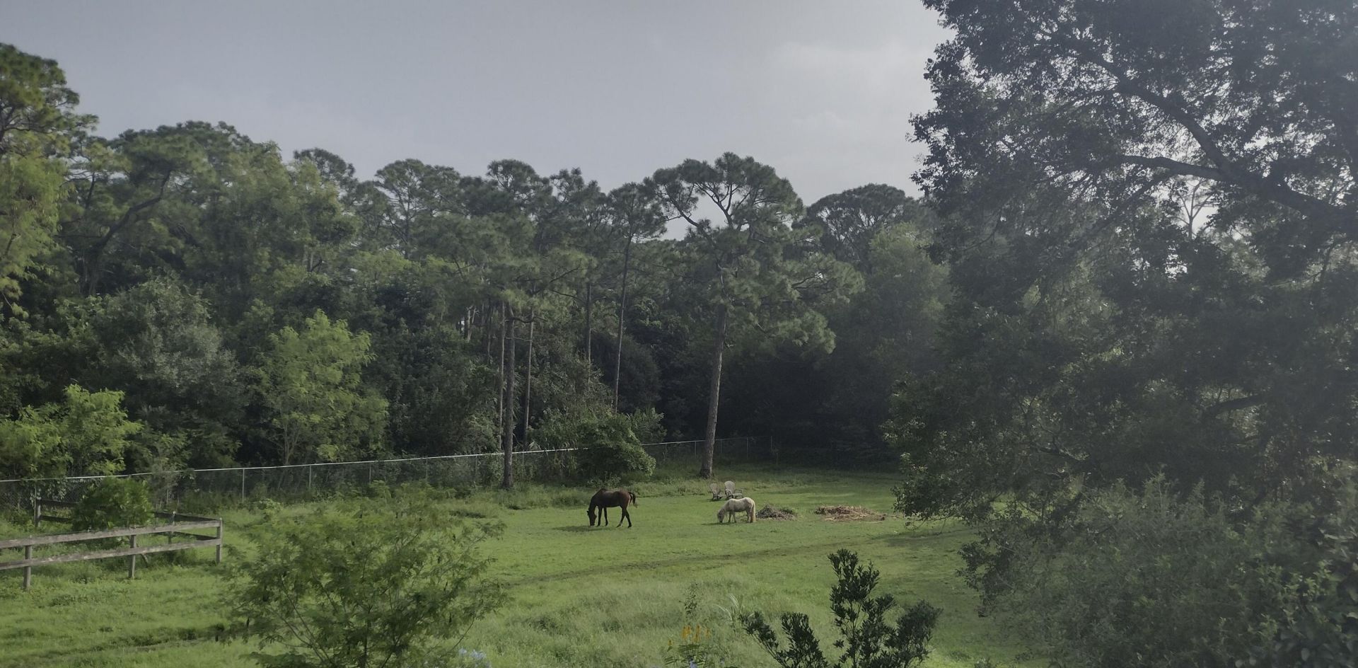 15531 42nd Road N, Loxahatchee Groves, FL 33470 Photo