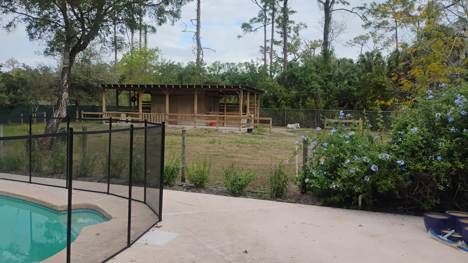 15531 42nd Road N, Loxahatchee Groves, FL 33470 Photo