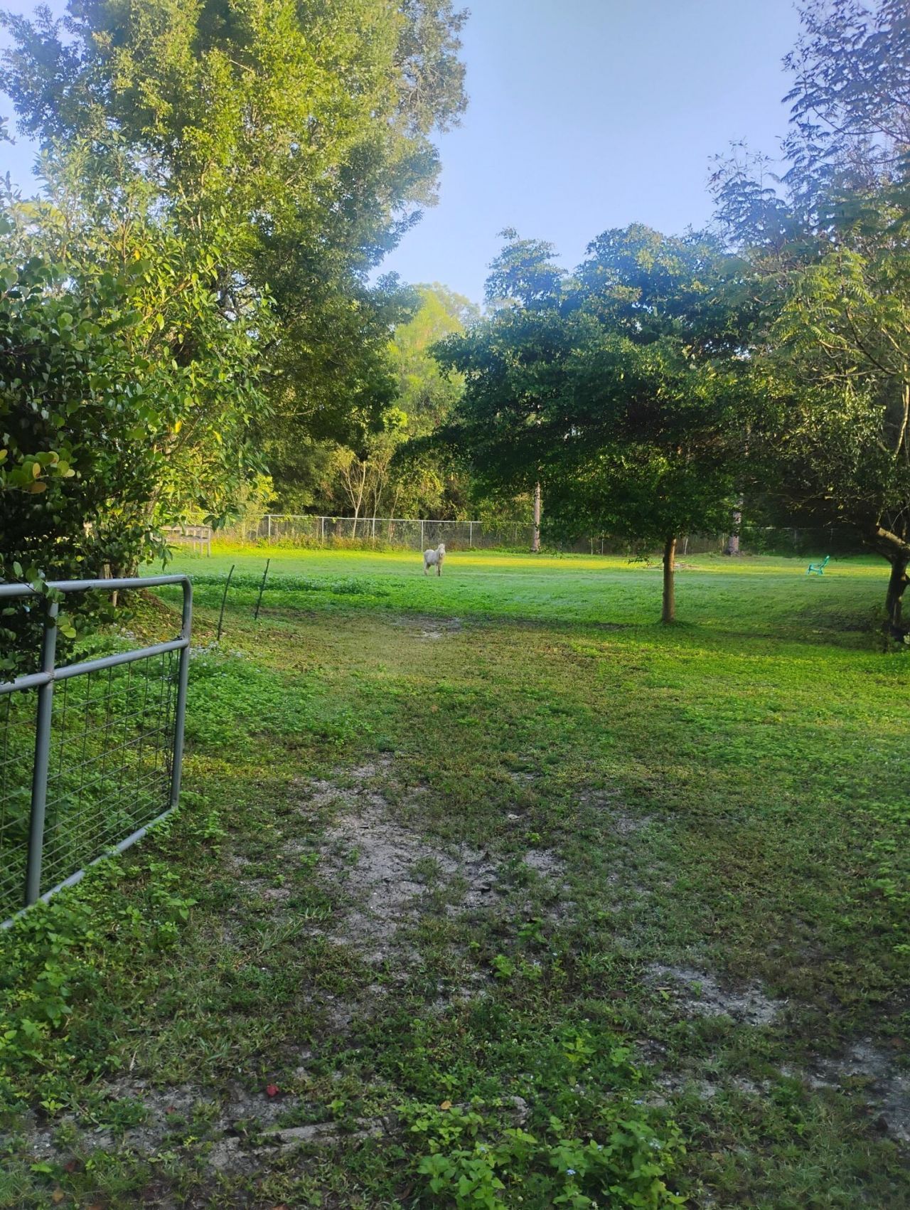 15531 42nd Road N, Loxahatchee Groves, FL 33470 Photo