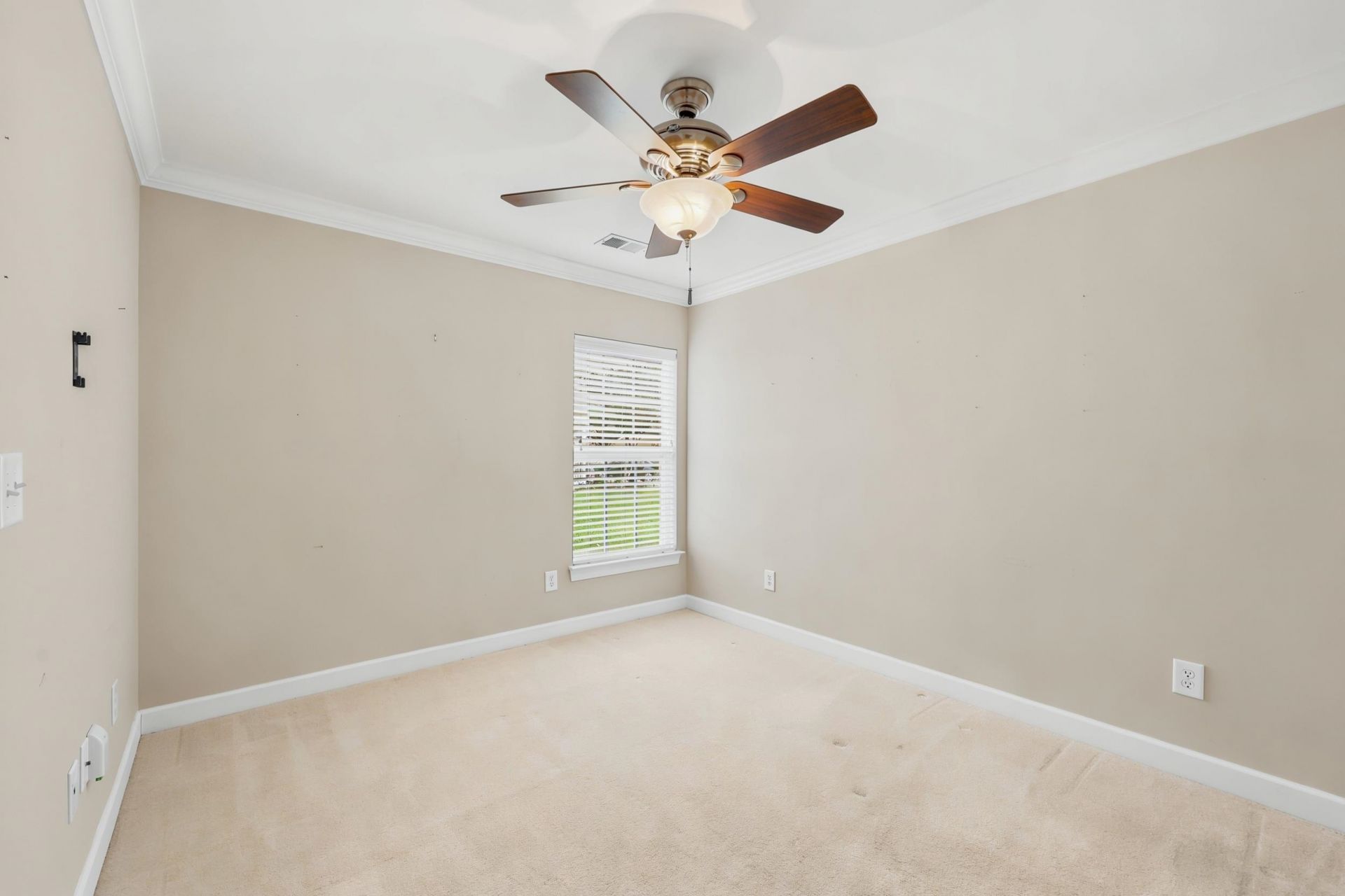 669 Twinflower St.  Photo 18