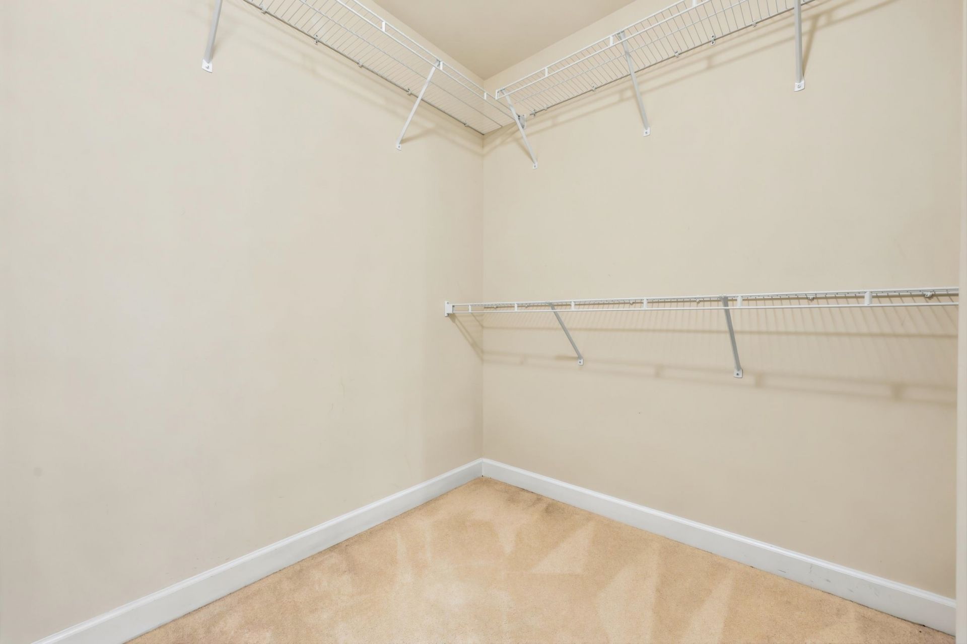669 Twinflower St.  Photo 32