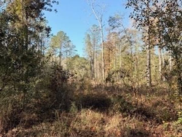 42217 PASQUA Road , Ponchatoula, LA 70454