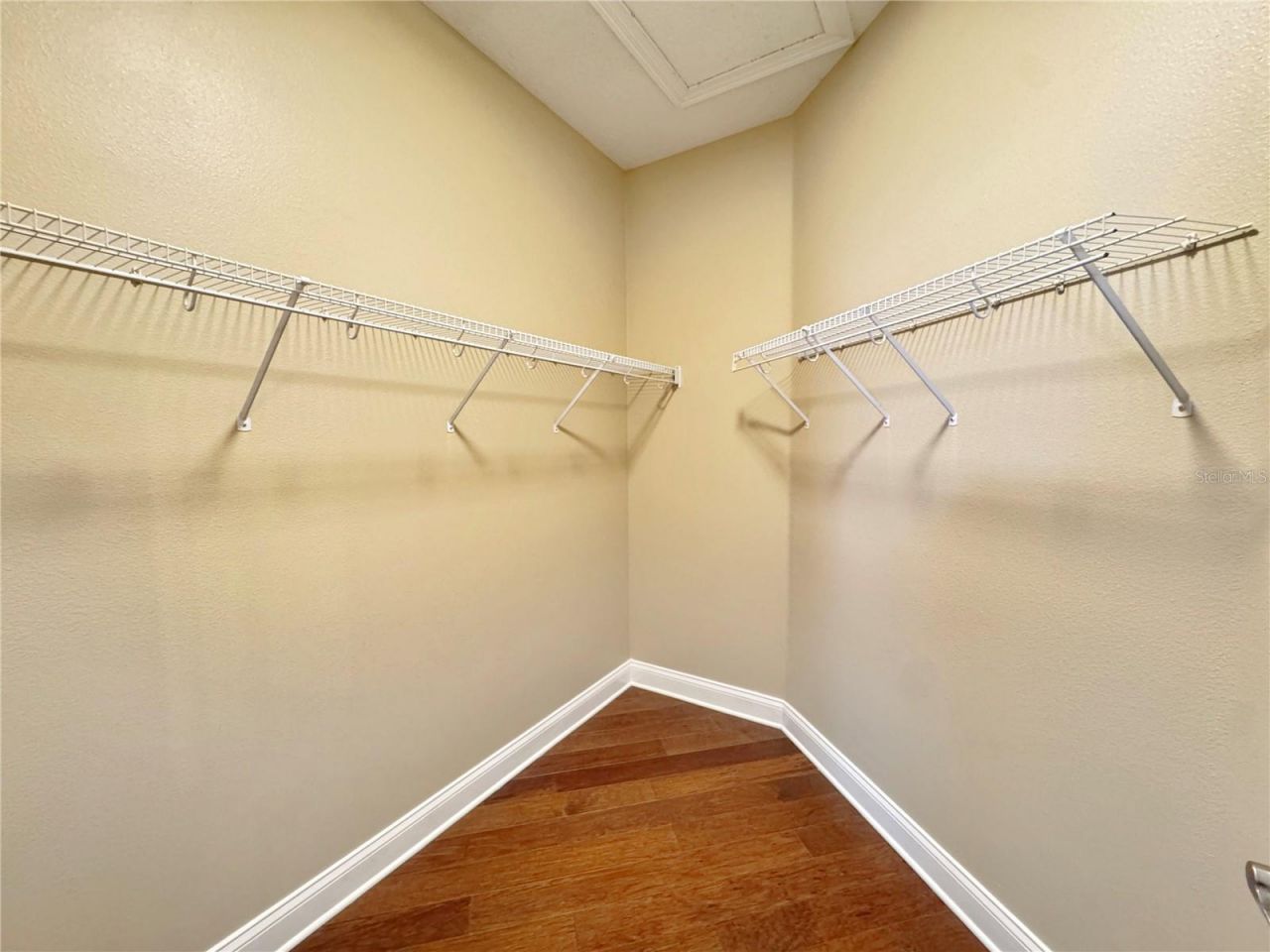173 Calliope Street, Ocoee, FL 34761 Photo