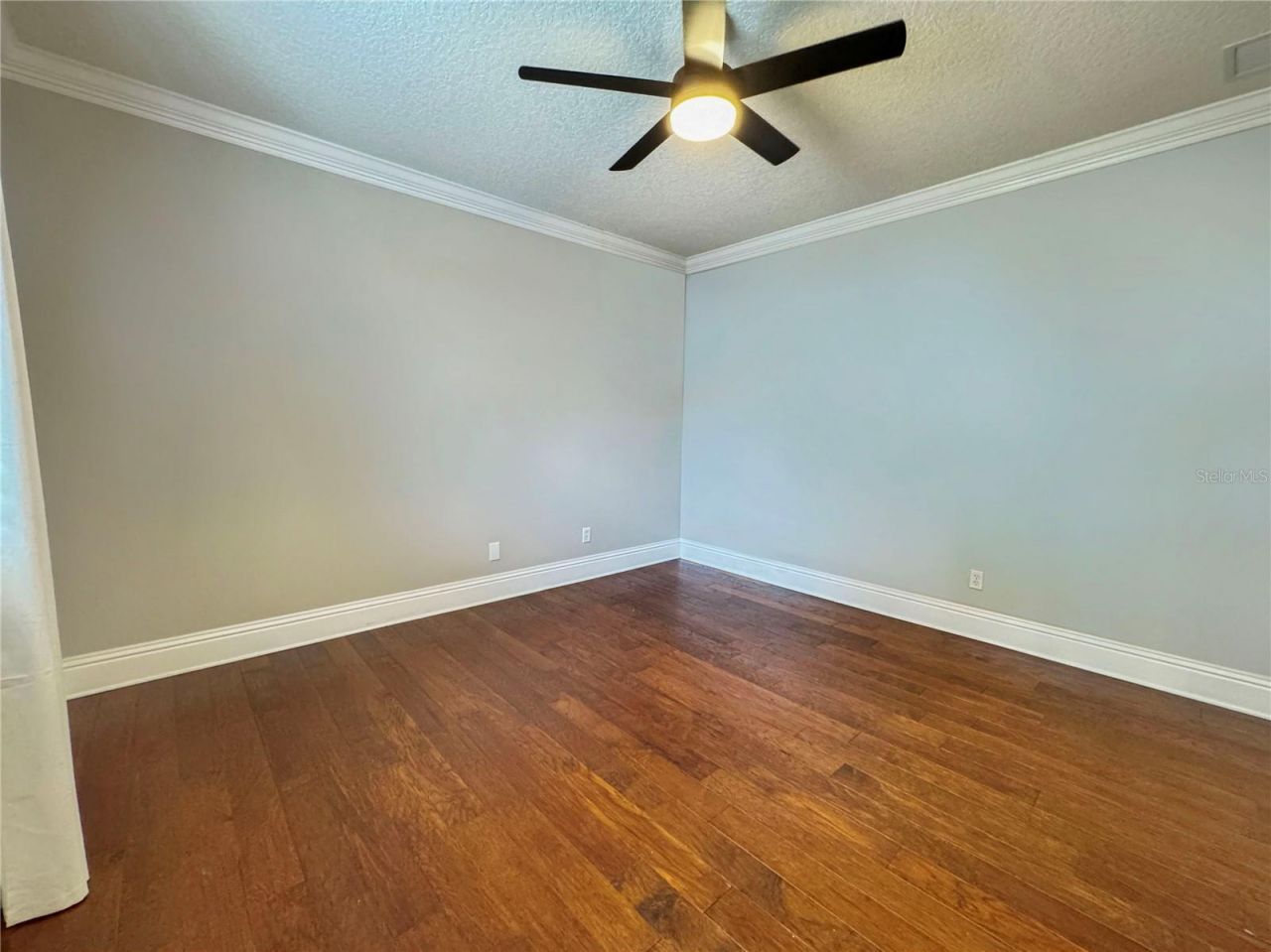 173 Calliope Street, Ocoee, FL 34761 Photo