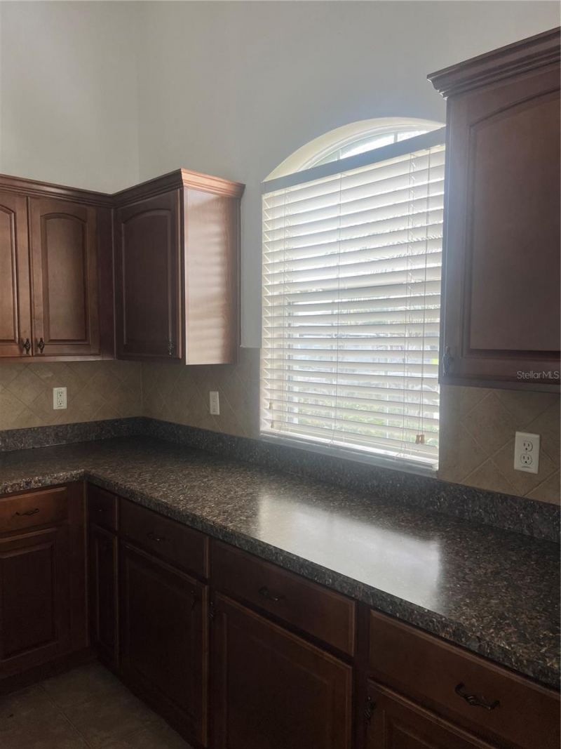 3739 Ricky Lane , Saint Cloud, FL 34772 Photo