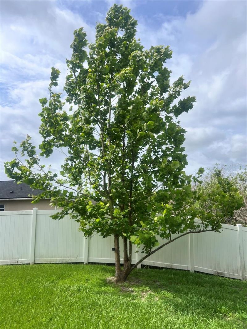3739 Ricky Lane , Saint Cloud, FL 34772 Photo