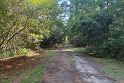 2995 Causey Road photo 4