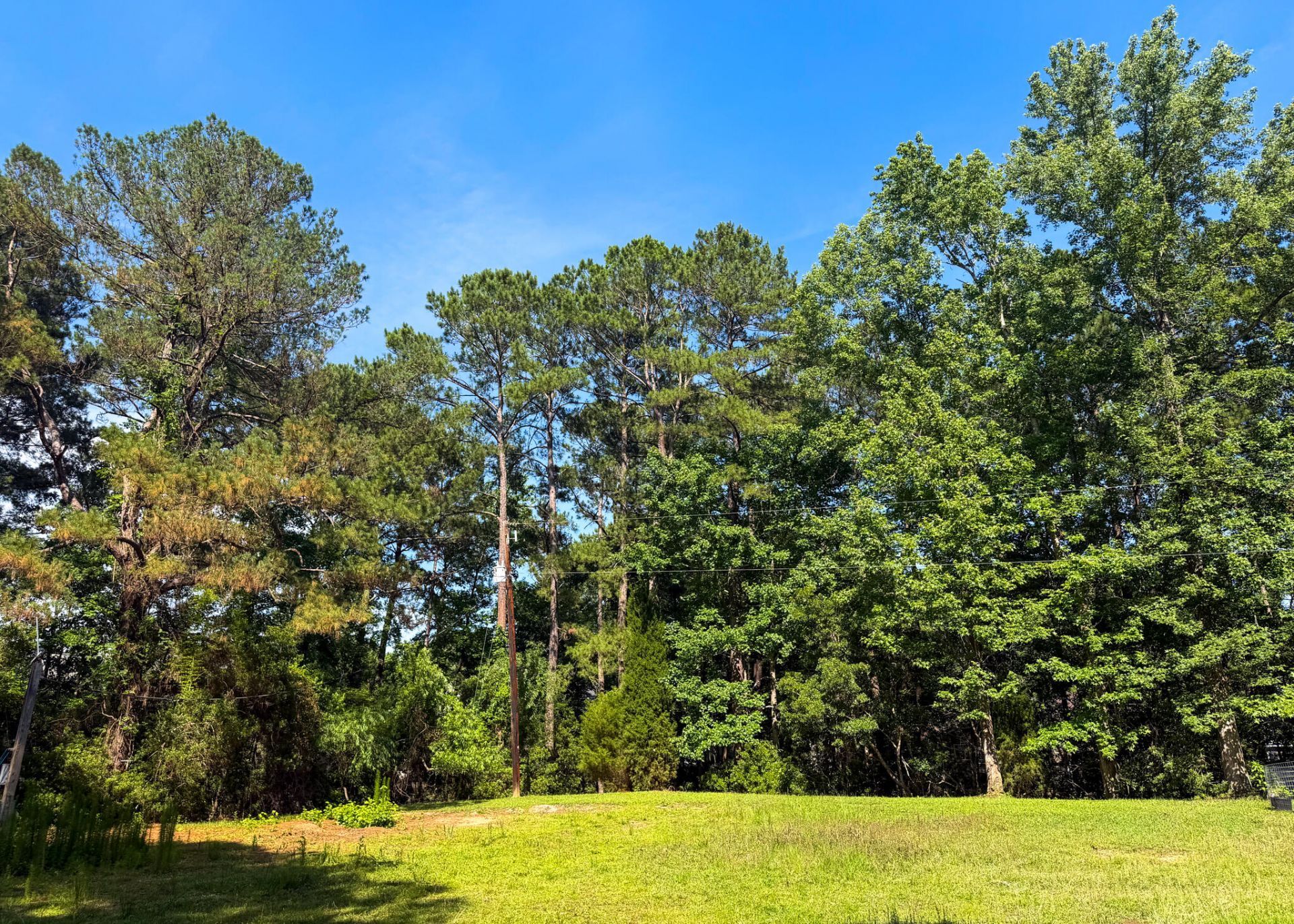2995 Causey Road Photo 6