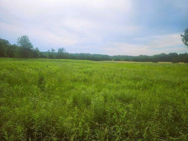 0000 N Stanford Lane , Opdyke, IL 62872