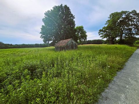 Main Photo