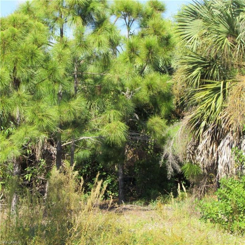 4072 Stringfellow Rd , Saint James City, FL 33956 Photo