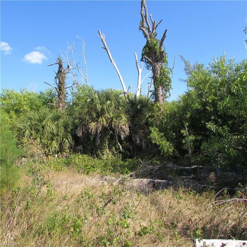 4072 Stringfellow Rd , Saint James City, FL 33956 Photo