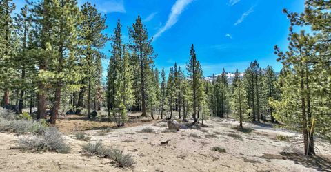 0 Sawmill Road, South Lake Tahoe, CA 96150 Photo