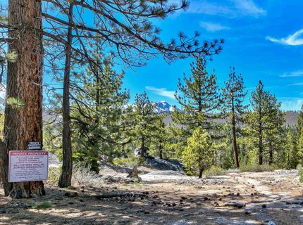 0 Sawmill Road, South Lake Tahoe, CA 96150 Photo