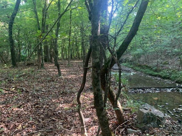 xx Baroid Road , Magnet Cove, AR 72104