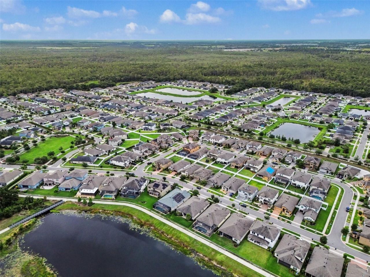 13116 Foxtail Fern Drive , Riverview, FL 33579 Photo