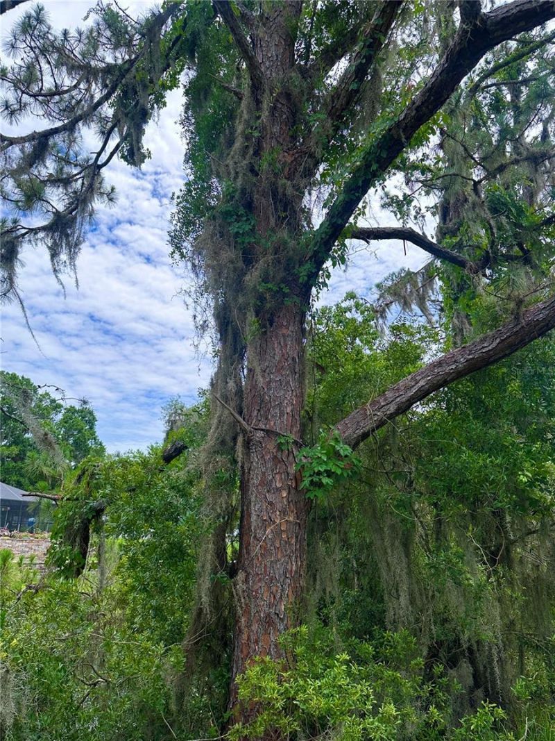 000 SE 197th Place , Inglis, FL 34449 Photo
