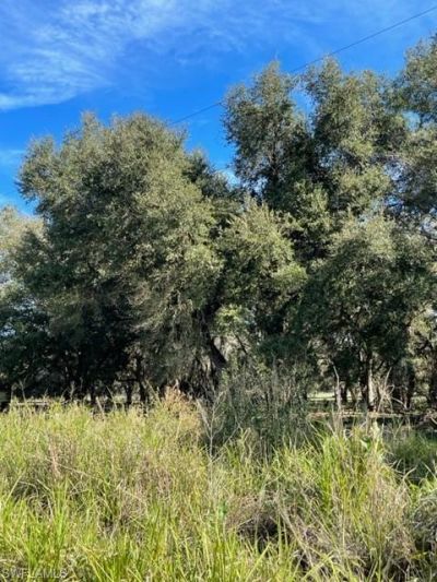 501 Norris Rd , Labelle, FL 33935 Photo