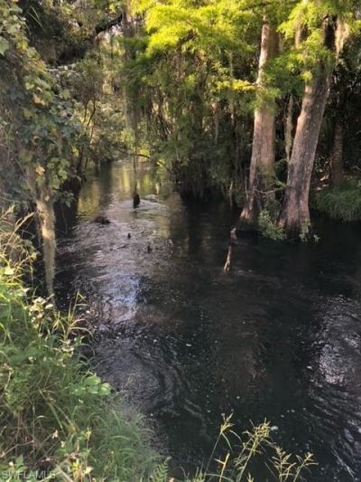 501 Norris Rd , Labelle, FL 33935 Photo