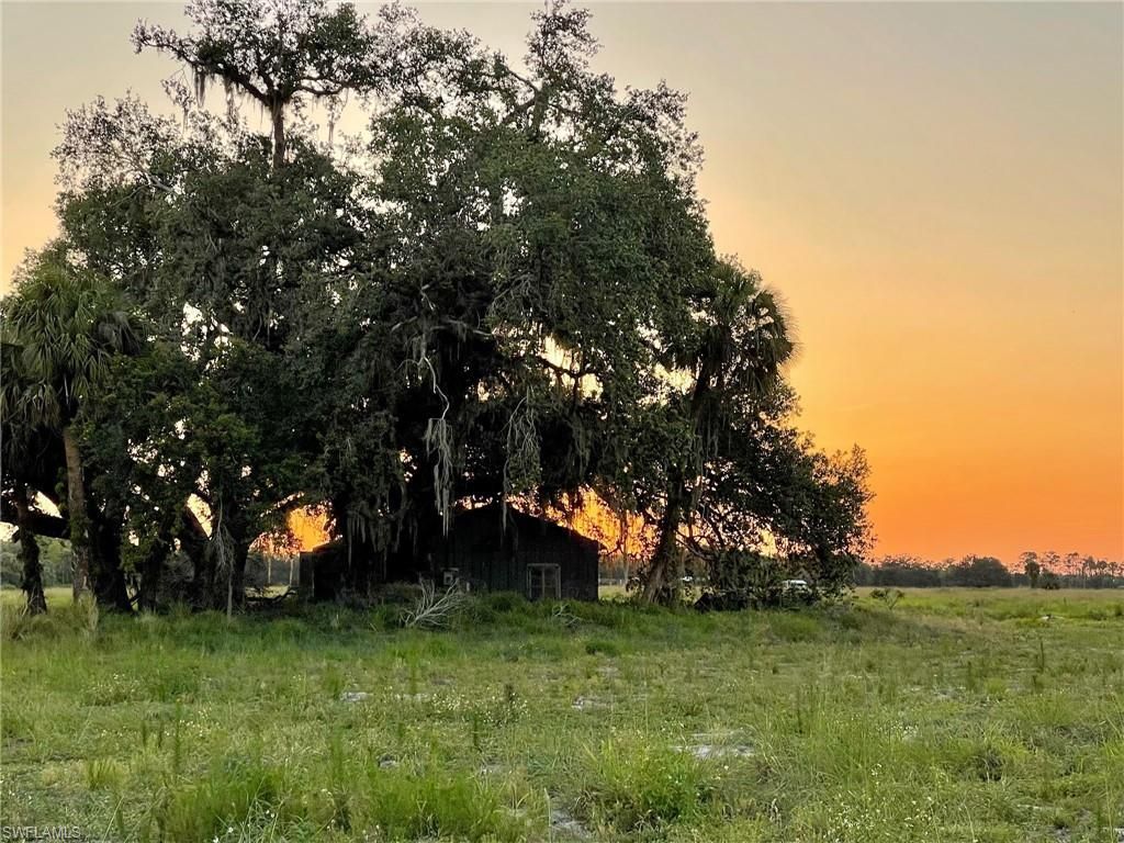 501 Norris Rd , Labelle, FL 33935 Photo