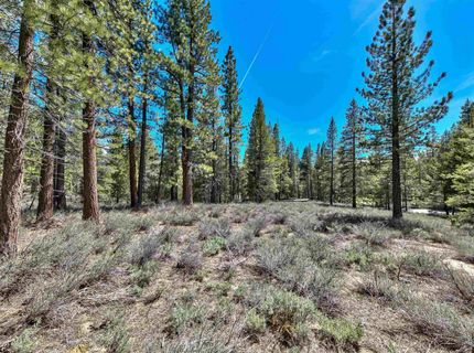 00 Sawmill Road, South Lake Tahoe, CA 96150 Photo