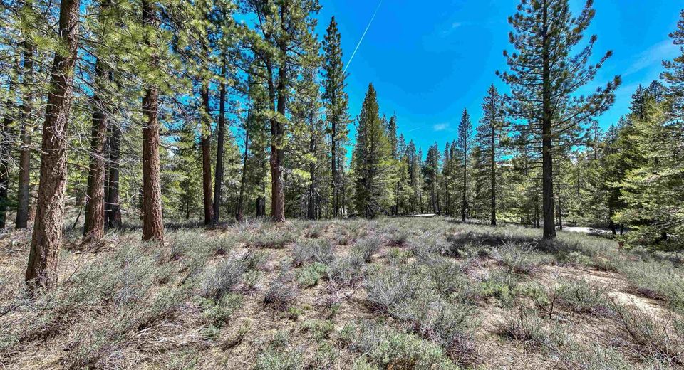 00 Sawmill Road, South Lake Tahoe, CA 96150 Photo