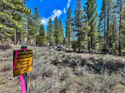 00 Sawmill Road, South Lake Tahoe, CA 96150 Photo