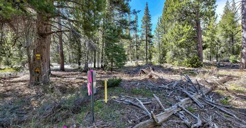 00 Sawmill Road, South Lake Tahoe, CA 96150 Photo