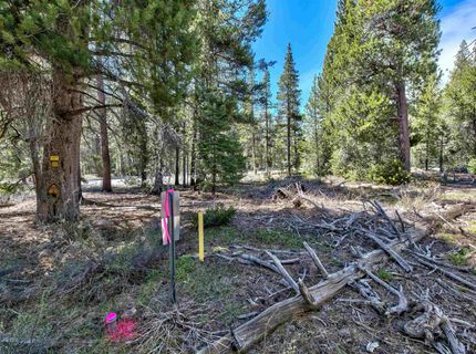 00 Sawmill Road, South Lake Tahoe, CA 96150 Photo