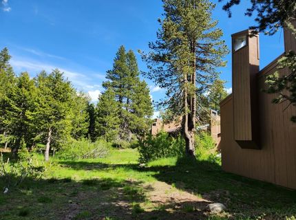 201 Bear Valley Rd #26, Unit 26, Bear Valley, CA 95223 Photo