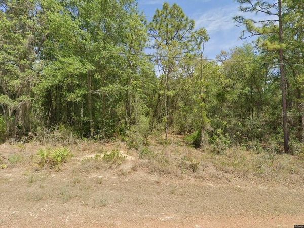 6575 W PERSHING DRIVE , HOMOSASSA, FL 34448