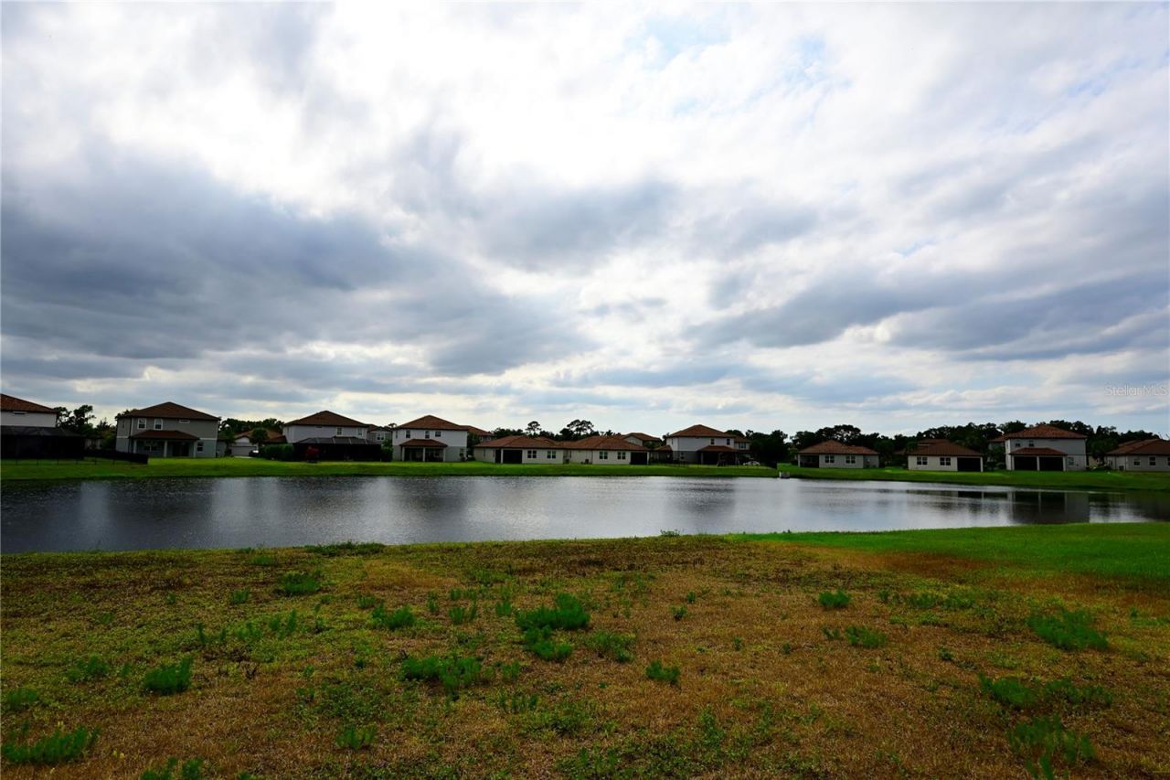 3806 Savanna Palms Court , Lakewood Ranch, FL 34211 Photo