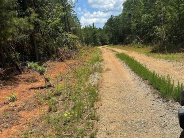 00 Maxey , Haynesville, LA 71035