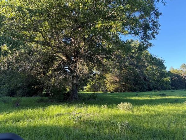 289 FCR 261, Oakwood, TX 75855