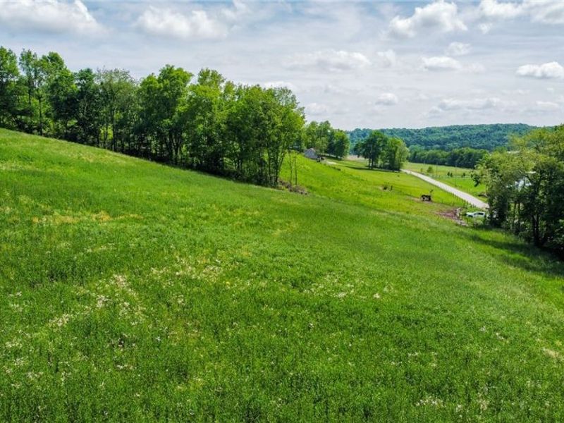 Cement Bridge Road, Dundee, OH 44624 Photo 16
