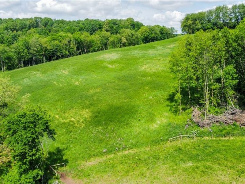 Cement Bridge Road, Dundee, OH 44624 Photo 18