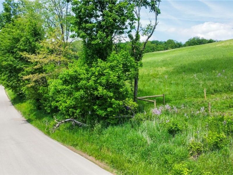 Cement Bridge Road, Dundee, OH 44624 Photo 21
