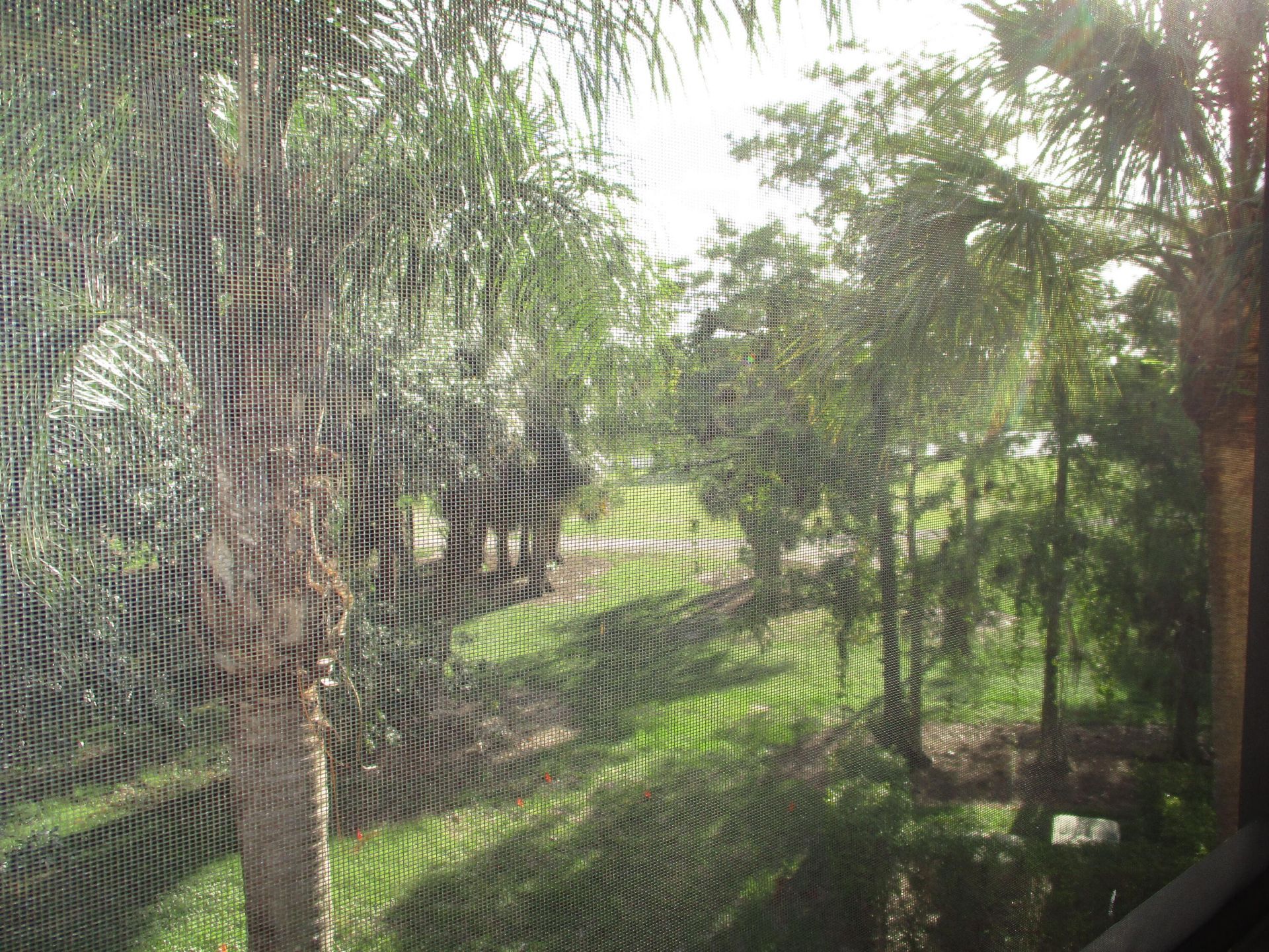 6751 N University Drive, Unit 320, Tamarac, FL 33321 Photo