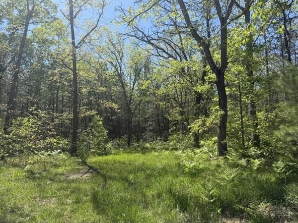 Parcel C USFS 5196, Baldwin, MI 49304