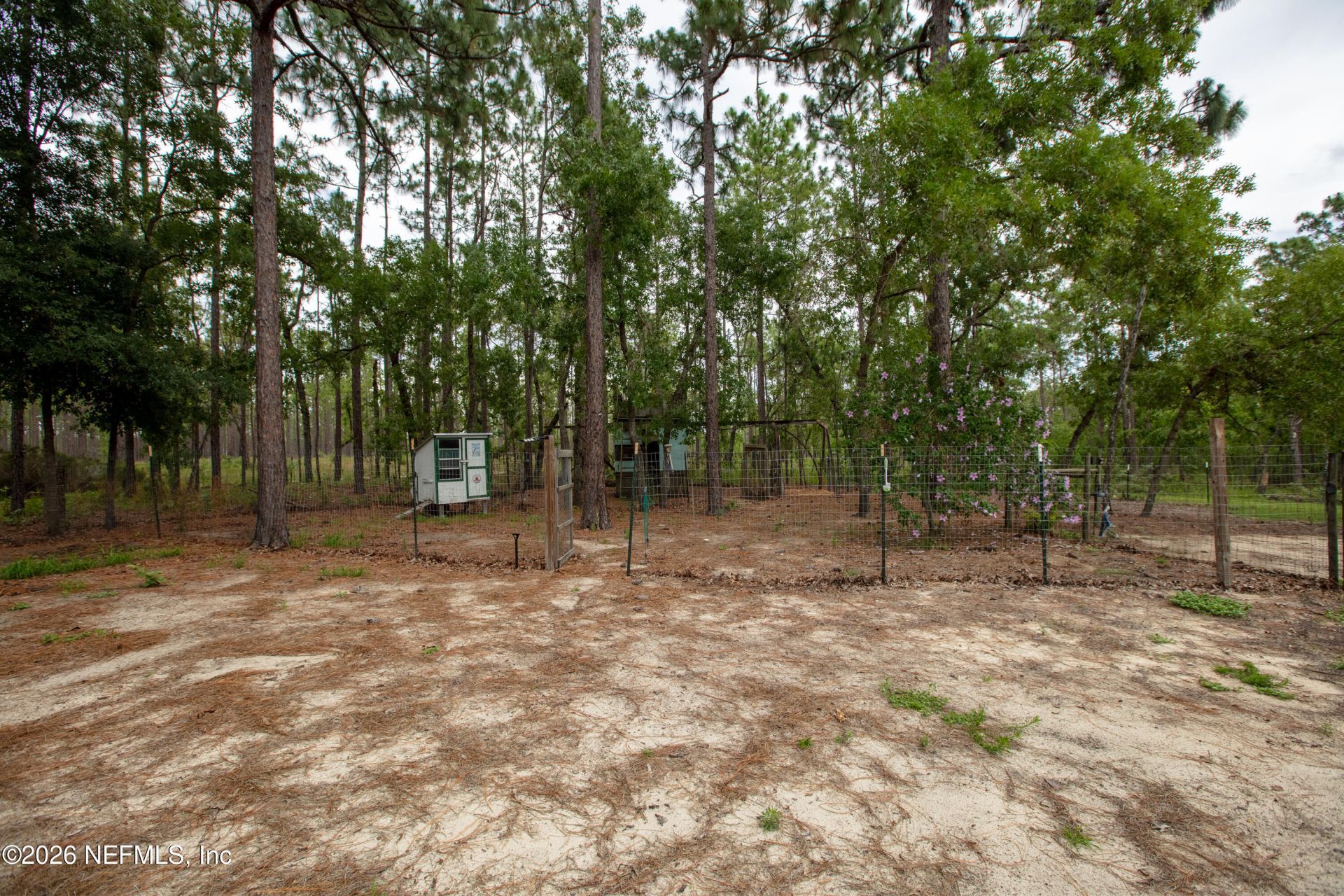 249 Melrose Landing Drive, Hawthorne, FL 32640 Photo