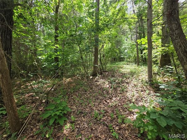 0 S Lake Shore Drive , Hillsboro, MO 63050