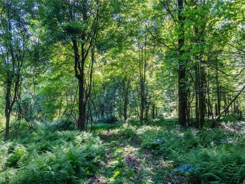 Ridge Rd, Minerva, OH 44657 Photo 10