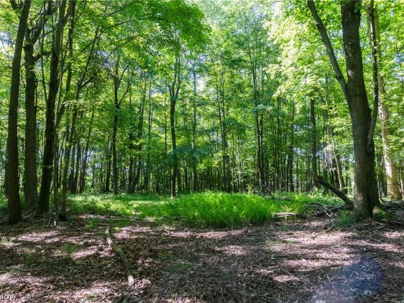 Ridge Rd, Minerva, OH 44657 Photo 11