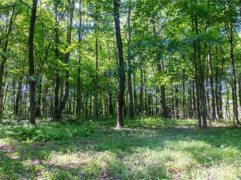 Ridge Rd, Minerva, OH 44657 Photo 13