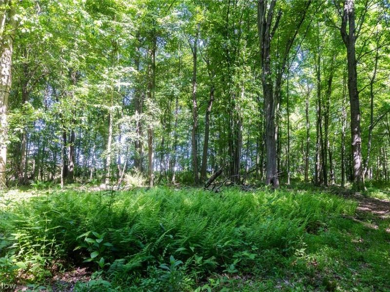 Ridge Rd, Minerva, OH 44657 Photo 15