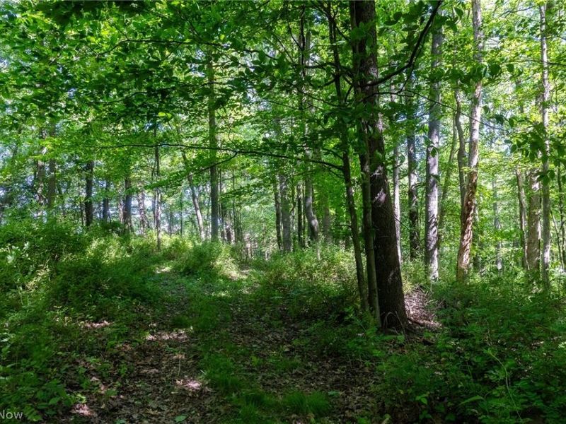 Ridge Rd, Minerva, OH 44657 Photo 16