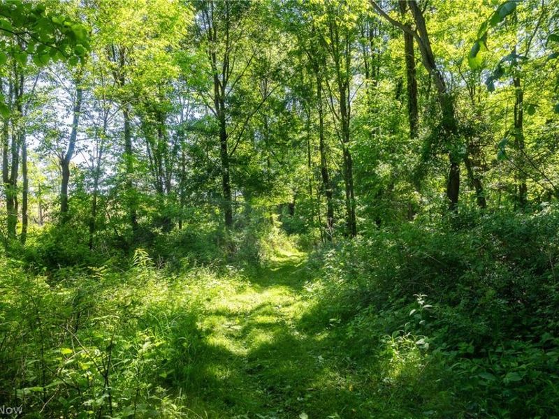 Ridge Rd, Minerva, OH 44657 Photo 18