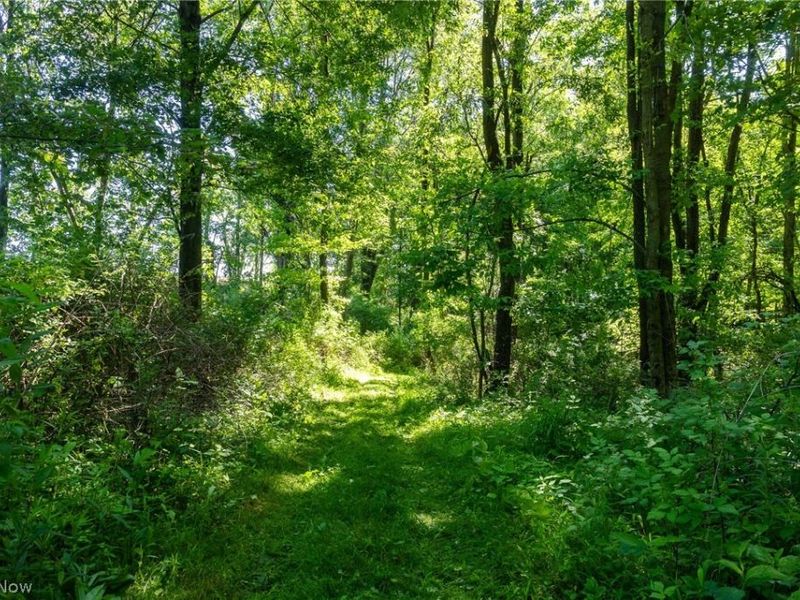 Ridge Rd, Minerva, OH 44657 Photo 19
